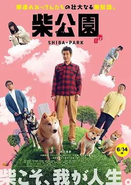 国产一区二区三区不卡在线观看